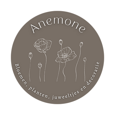 Logo Anemone